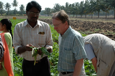 pesticide testing england